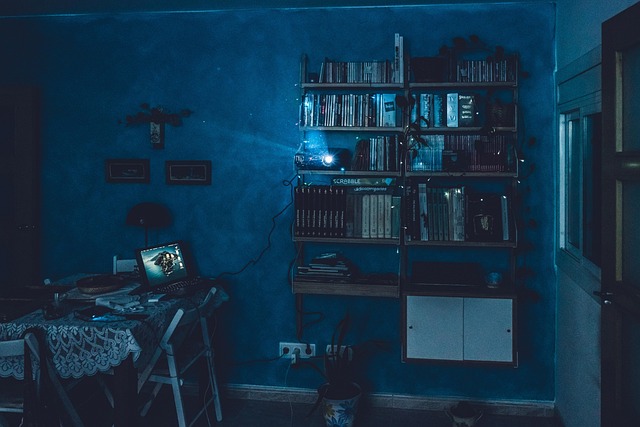 Das perfekte Camgirl-Setup: Kamera, Licht und Ausstattung